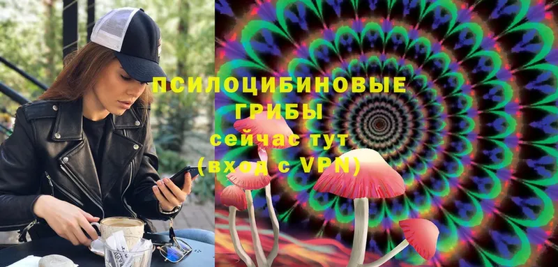 Галлюциногенные грибы Magic Shrooms  как найти наркотики  Краснокамск 